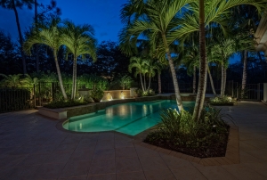 Pool Landscape Lighting in Naples, FL