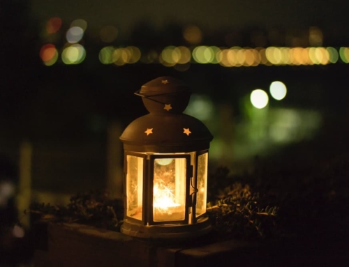 Outdoor Lighting Basics – What To Know