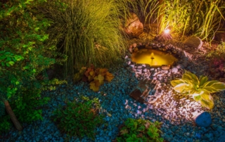 Lighting Tips for Smaller Yards - Lightscapes Naples